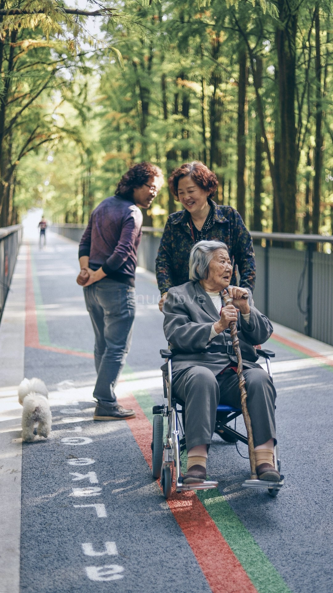 Dementia care